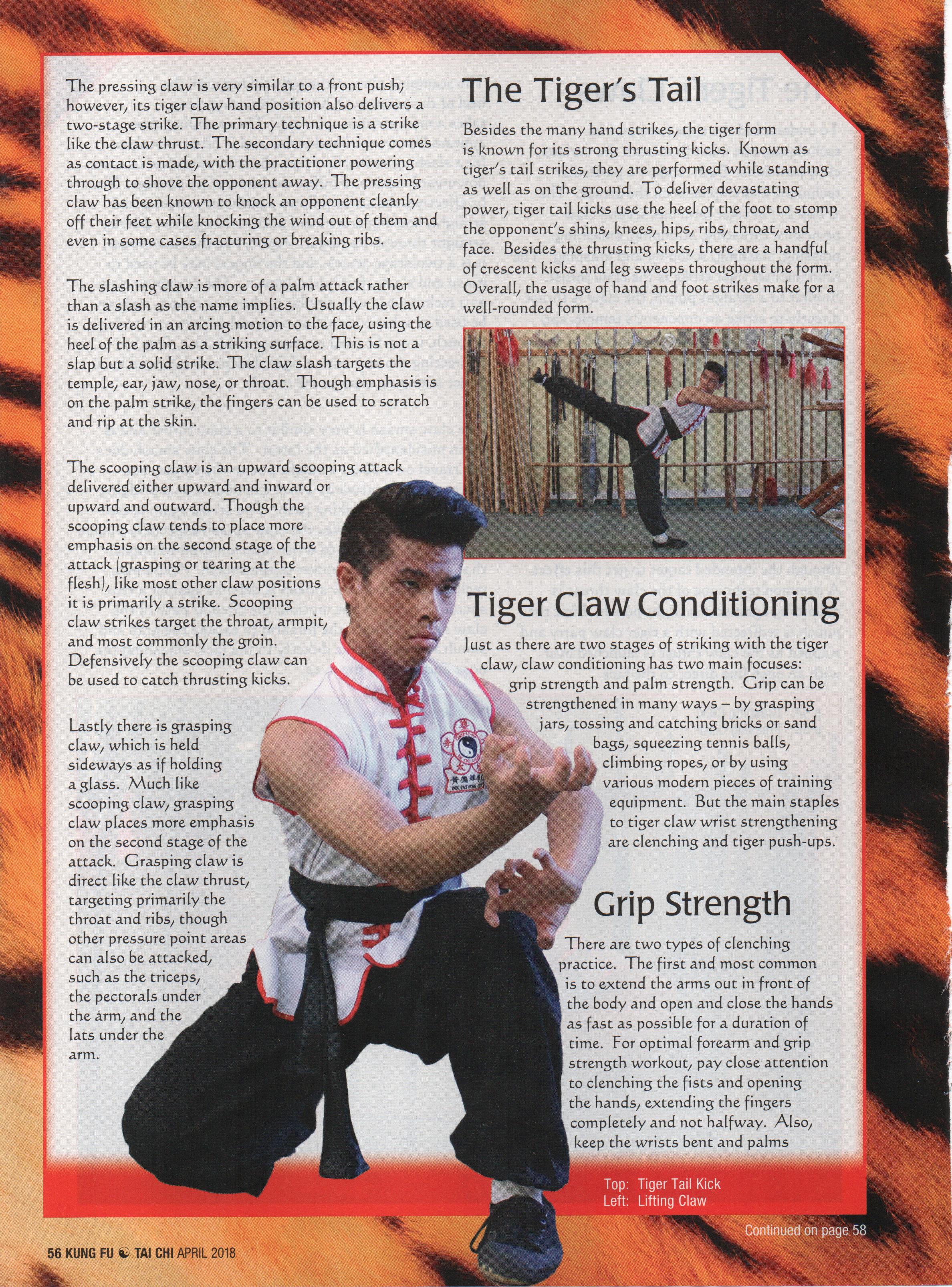 Tiger - page 3
